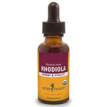 Rhodiola - My Village Green
